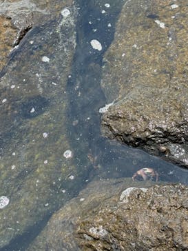 葛西臨海水族園に投稿された画像（2024/9/1）