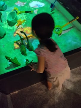 リトルプラネット ららぽーと和泉に投稿された画像（2024/9/1）