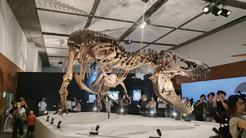DinoScience 恐竜科学博 ～ララミディア大陸の恐竜物語～ 2024@OSAKA