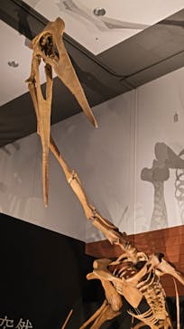 DinoScience 恐竜科学博 ～ララミディア大陸の恐竜物語～ 2024@OSAKAに投稿された画像（2024/9/1）