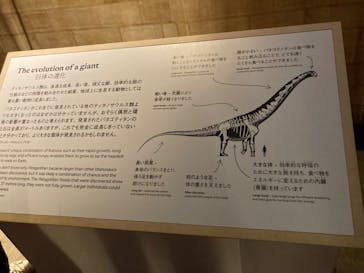 巨大恐竜展2024に投稿された画像（2024/9/1）