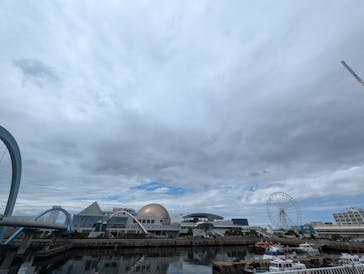 名古屋港水族館に投稿された画像（2024/9/1）