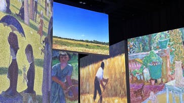 モネ＆フレンズ・アライブに投稿された画像（2024/9/1）