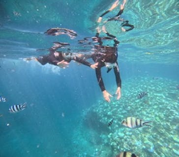 沖縄マリンサービス碧に投稿された画像（2024/9/1）