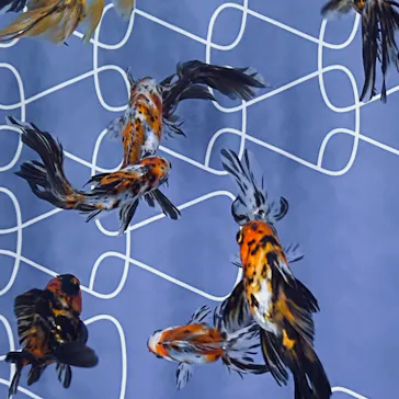 すみだ水族館に投稿された画像（2024/9/1）