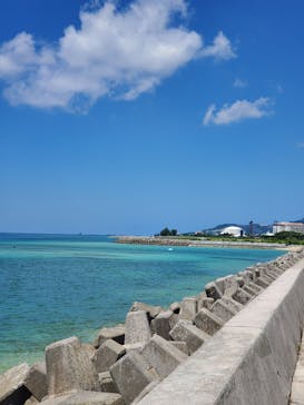 武藤潜水に投稿された画像（2024/9/1）