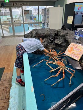 竹島水族館に投稿された画像（2024/9/1）