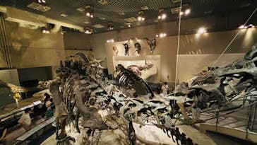 国立科学博物館に投稿された画像（2024/9/1）