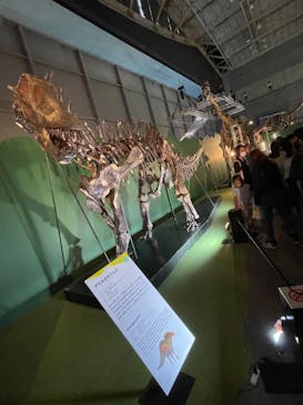 巨大恐竜展2024に投稿された画像（2024/9/1）