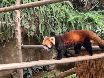 神戸どうぶつ王国に投稿された画像（2024/9/1）