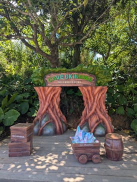 CAVE OKINAWAに投稿された画像（2024/9/1）