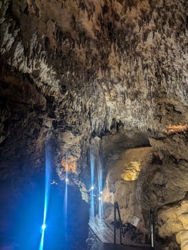 CAVE OKINAWAに投稿された画像（2024/9/1）