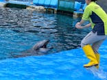 名古屋港水族館に投稿された画像（2024/9/1）