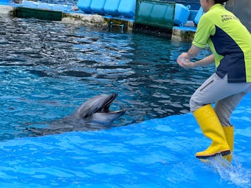 名古屋港水族館に投稿された画像（2024/9/1）