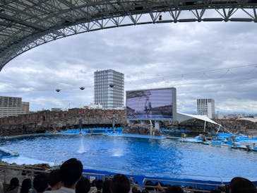 名古屋港水族館に投稿された画像（2024/9/1）