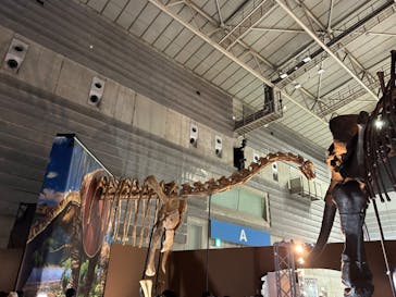 巨大恐竜展2024に投稿された画像（2024/9/1）