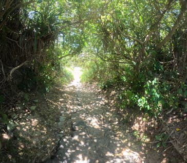 沖縄マリンサービス碧に投稿された画像（2024/9/1）