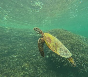 nico 宮古島に投稿された画像（2024/9/1）