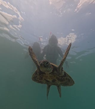 nico 宮古島に投稿された画像（2024/9/1）