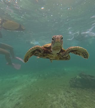 nico 宮古島に投稿された画像（2024/9/1）