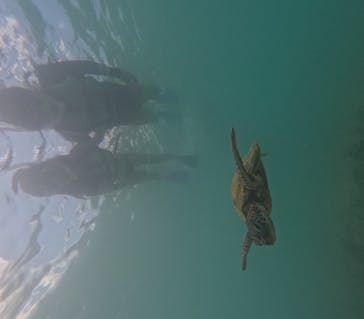 nico 宮古島に投稿された画像（2024/9/1）