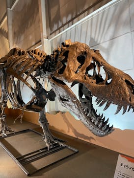 巨大恐竜展2024に投稿された画像（2024/9/1）