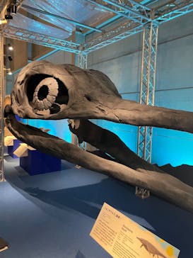 巨大恐竜展2024に投稿された画像（2024/9/1）