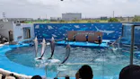 仙台うみの杜水族館に投稿された画像（2024/9/1）
