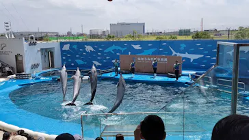 仙台うみの杜水族館に投稿された画像（2024/9/1）