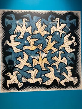 豊田市美術館に投稿された画像（2024/9/1）