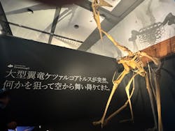 DinoScience 恐竜科学博 ～ララミディア大陸の恐竜物語～ 2024@OSAKAに投稿された画像（2024/9/1）