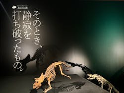 DinoScience 恐竜科学博 ～ララミディア大陸の恐竜物語～ 2024@OSAKAに投稿された画像（2024/9/1）