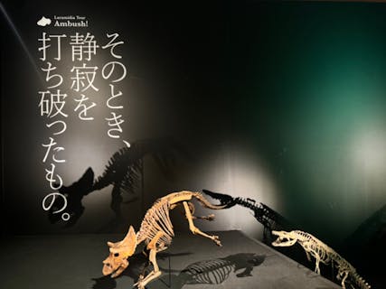 恐竜くん／田中真士 | この夏、『DinoScience 恐竜科学博