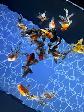 すみだ水族館に投稿された画像（2024/9/1）