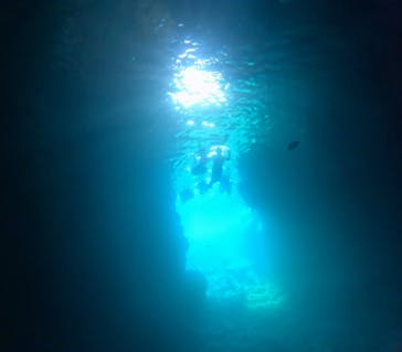 マリンクラブジジに投稿された画像（2024/9/1）