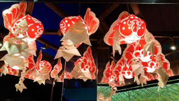 すみだ水族館に投稿された画像（2024/9/1）