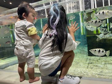 NIFREL（ニフレル）に投稿された画像（2024/9/1）