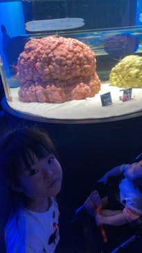 NIFREL（ニフレル）に投稿された画像（2024/9/1）