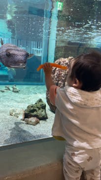 NIFREL（ニフレル）に投稿された画像（2024/9/1）