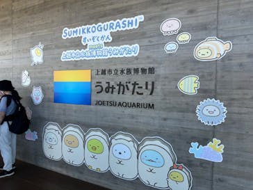 上越市立水族博物館 うみがたりに投稿された画像（2024/9/1）