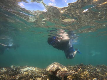 宮古島 ADVENTURE PiPi（ミヤコジマ アドベンチャー ピピ）に投稿された画像（2024/9/1）