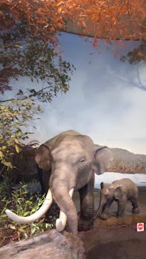 滋賀県立琵琶湖博物館に投稿された画像（2024/9/1）