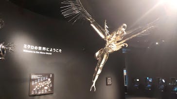 滋賀県立琵琶湖博物館に投稿された画像（2024/9/1）