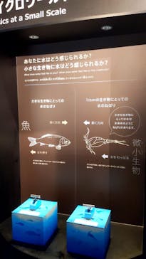 滋賀県立琵琶湖博物館に投稿された画像（2024/9/1）