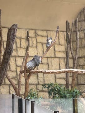 名古屋市東山動植物園に投稿された画像（2024/9/1）