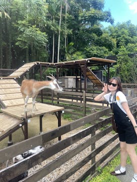 美らヤシパークオキナワ・東南植物楽園に投稿された画像（2024/9/1）