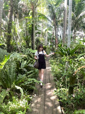 美らヤシパークオキナワ・東南植物楽園に投稿された画像（2024/9/1）