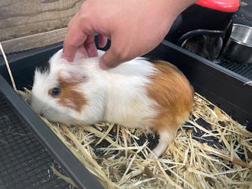 美らヤシパークオキナワ・東南植物楽園に投稿された画像（2024/9/1）