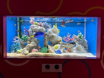 NARA IKIMONO MUSEUMに投稿された画像（2024/9/1）