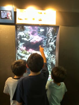 葛西臨海水族園に投稿された画像（2024/9/1）